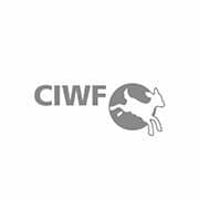 Logo du CIWF avec la silhouette d'une vache sautant par-dessus une forme circulaire. Limbus Studio